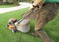 Lawn