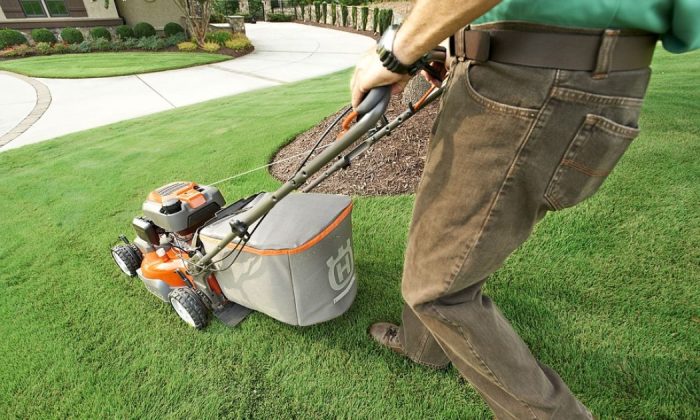 Lawn