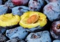 Plums