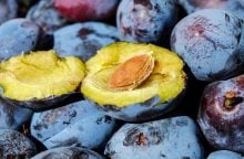 Plums