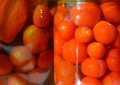 Tomatoes