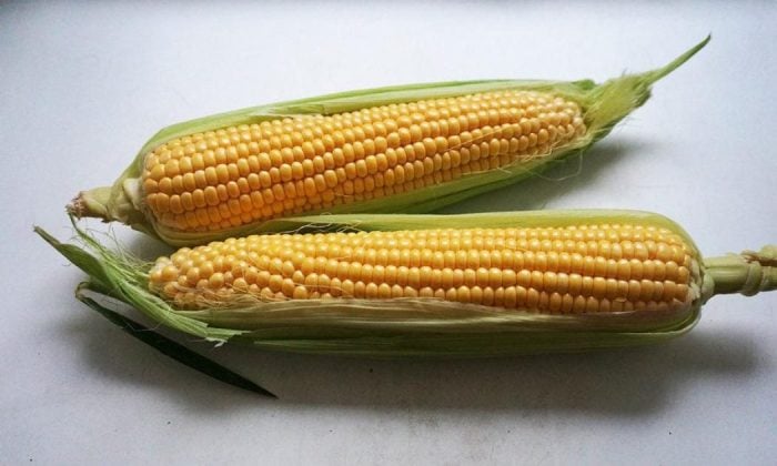Corn