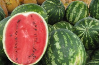 Watermelon