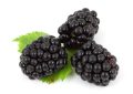 Blackberries