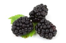 Blackberries