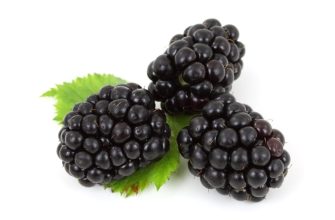 Blackberries