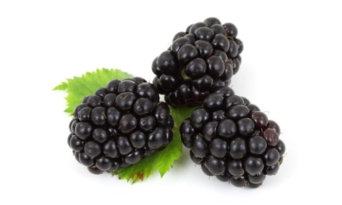 Blackberries
