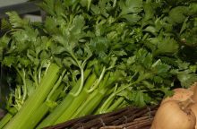 Celery sticks