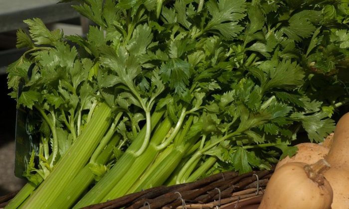 Celery sticks