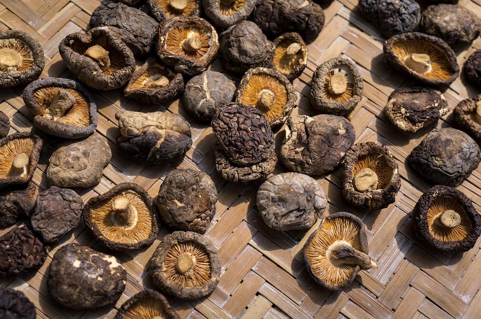 Shiitake mushrooms 