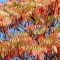 Staghorn sumac