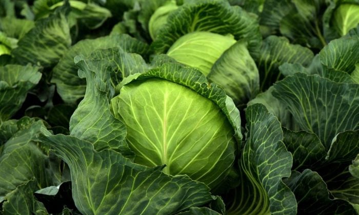 Vegetables