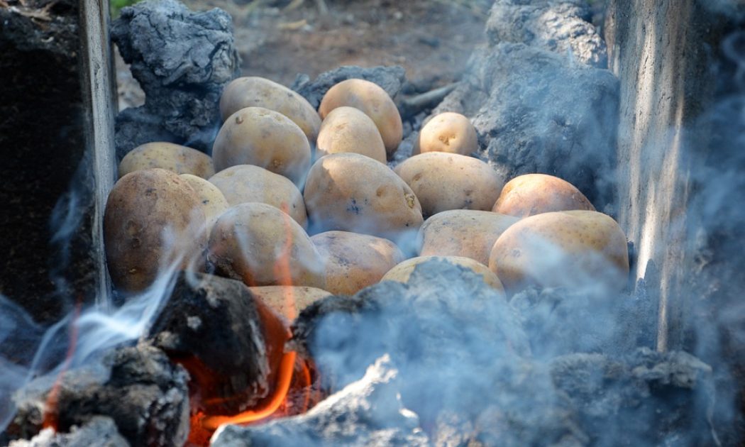 Exploded Potato How to make oven-baked potatoes taste like fire-baked potatoes