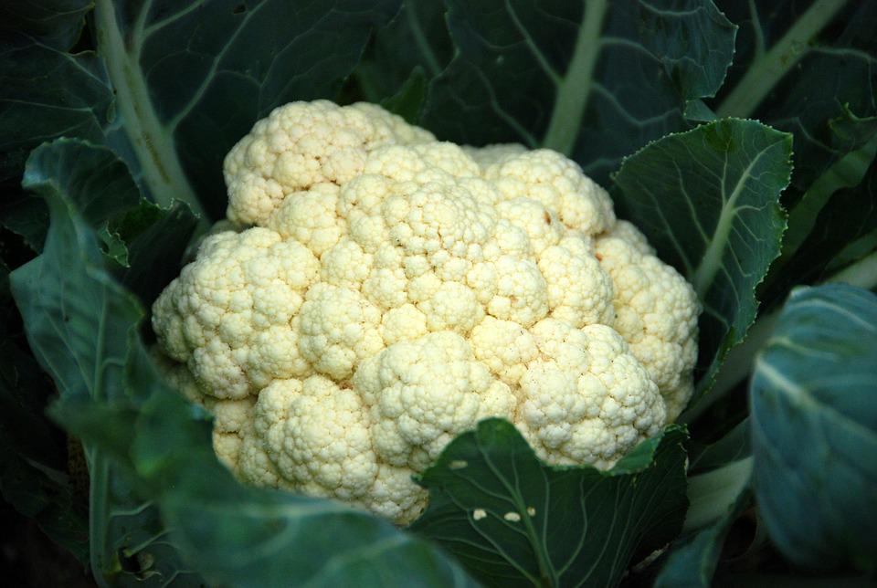 Cauliflower 
