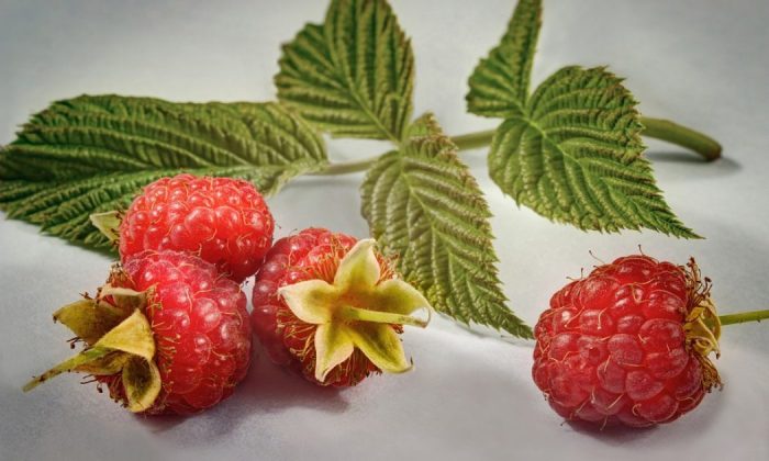 Raspberry bushes
