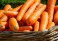 Dried carrot