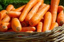 Dried carrot