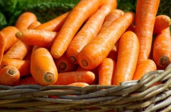 Dried carrot