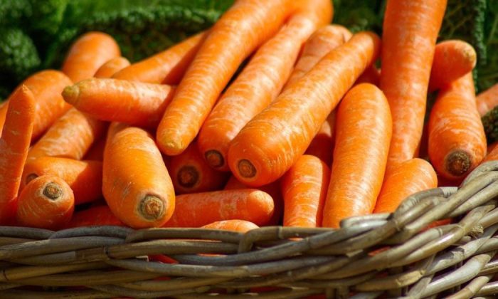 Dried carrot