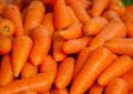 Carrots