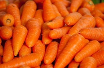 Carrots