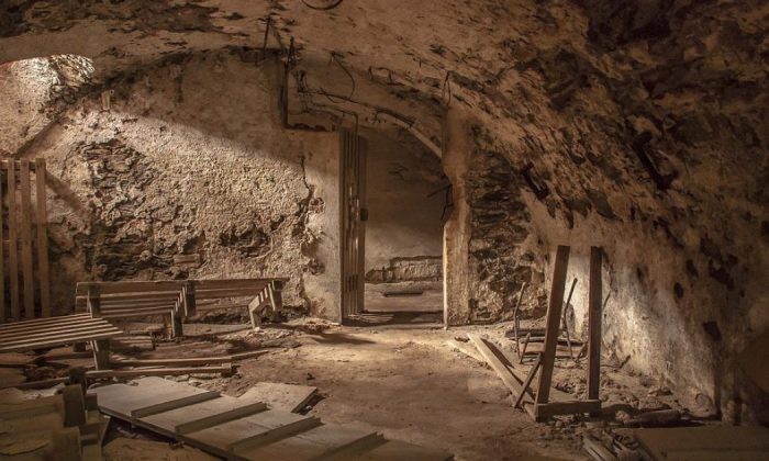 Cellar
