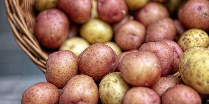 Potatoes