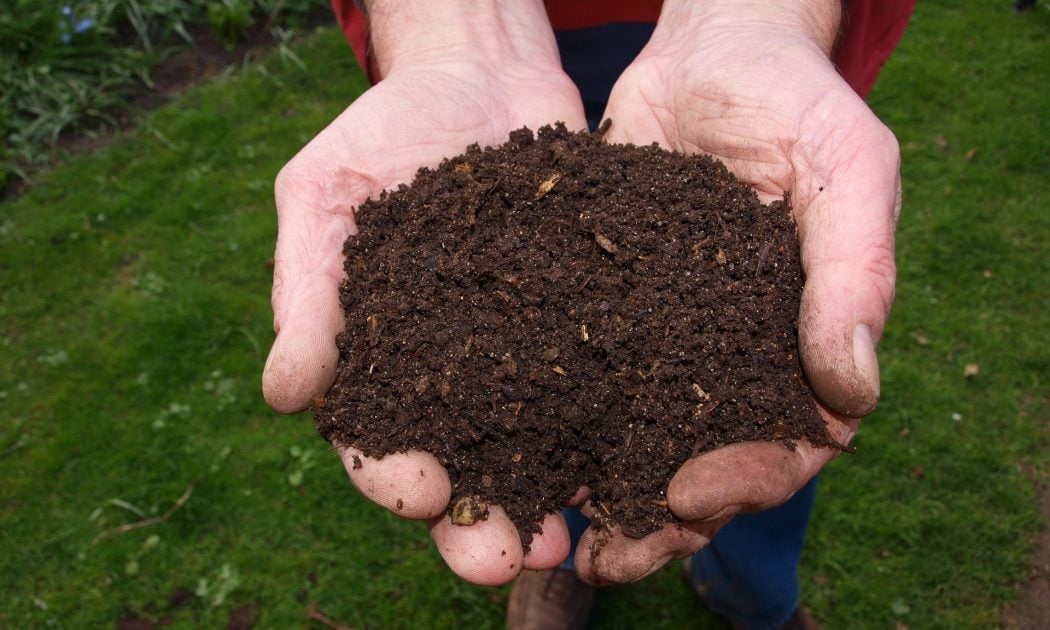 Fertilizer