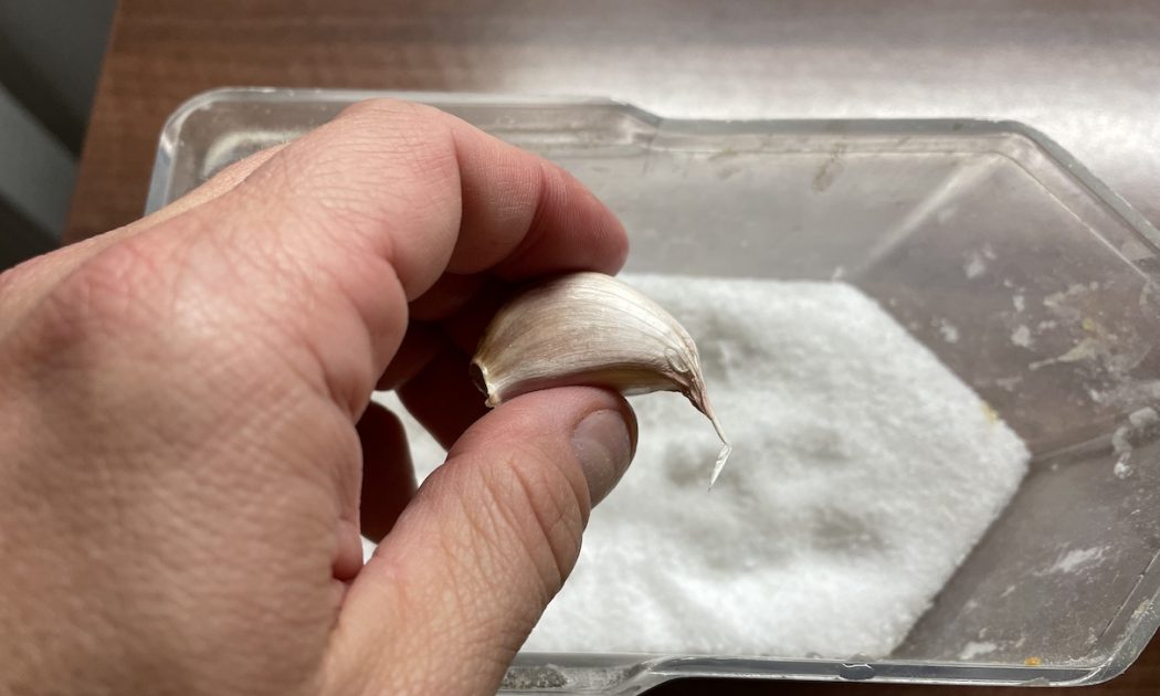 Garlic