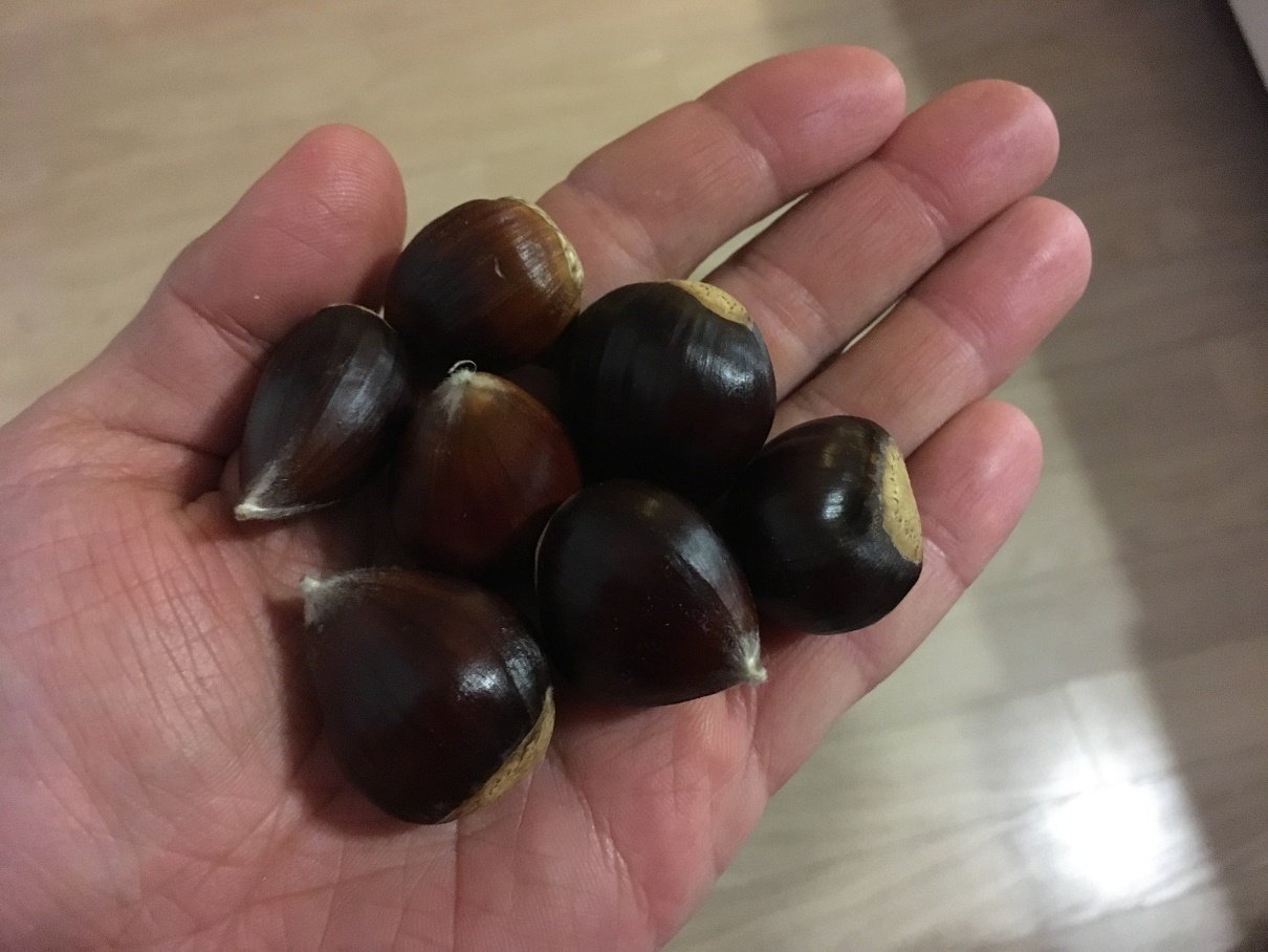 Sweet chestnuts