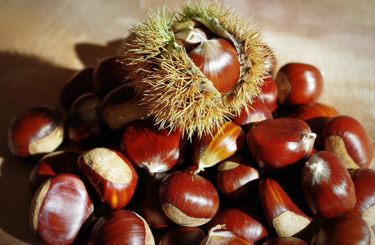 Sweet chestnuts