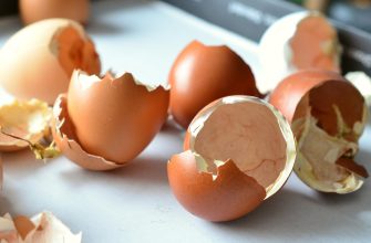 Egg shells