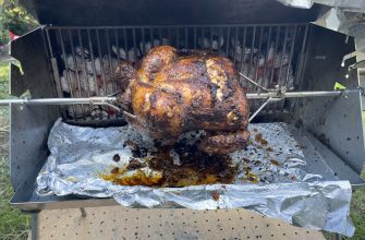 Grilled chicken 