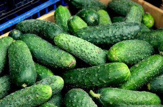 Cucumbers