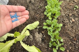 Blue pellets