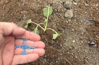 Blue pellets