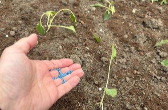 Blue pellets