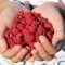 Raspberry