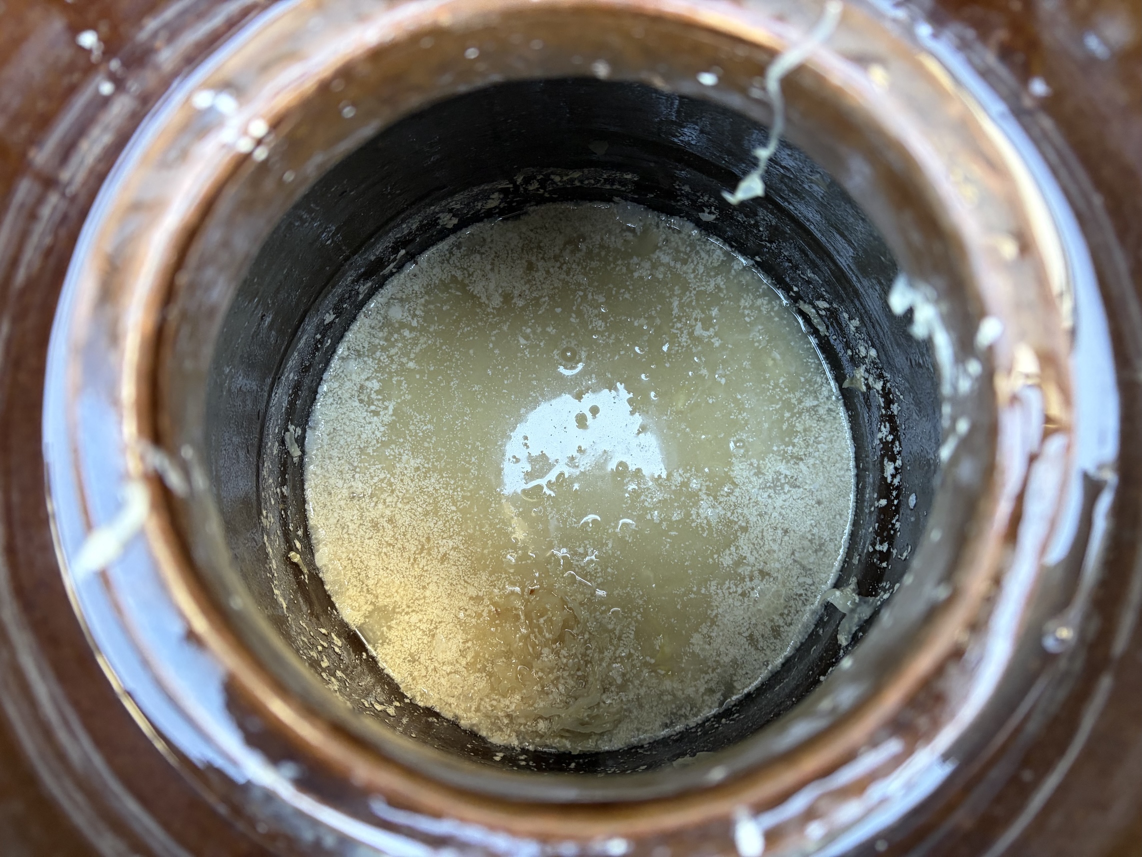 Sauerkraut