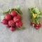 Radishes