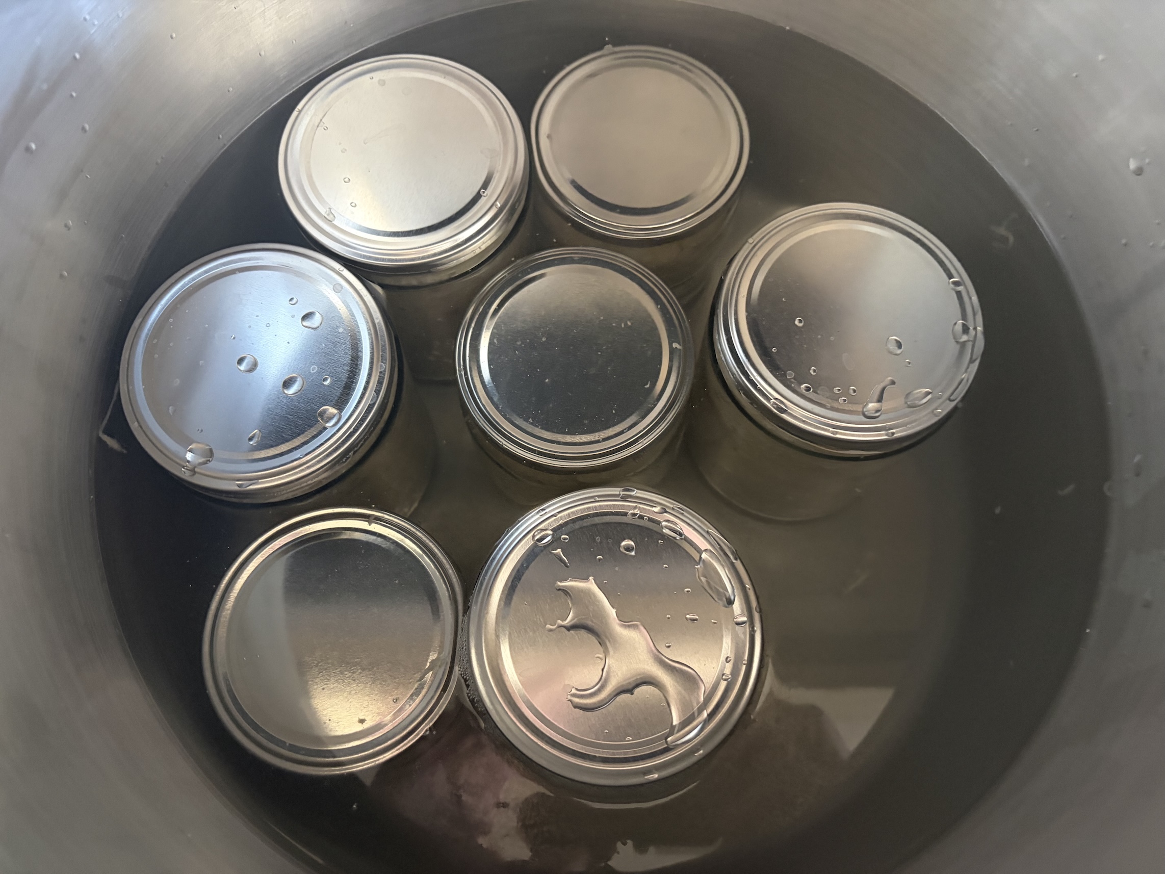 Sauerkraut