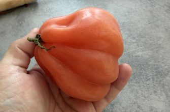 Coeur De Boeuf
