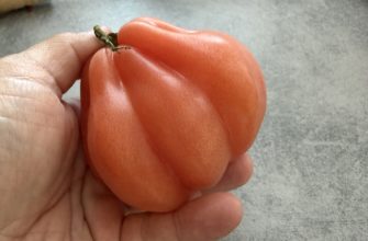 Coeur De Boeuf