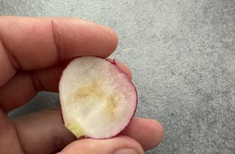 Worm radish