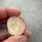 Worm radish