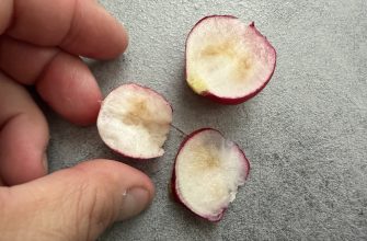 Worm radish