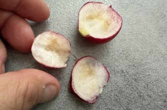 Worm radish