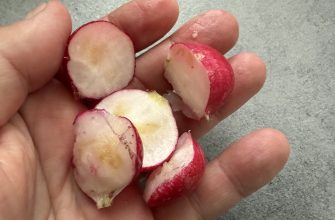 Worm radish