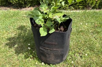 Potatoes in bags