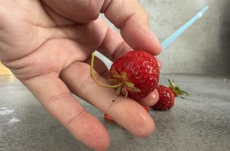 Strawberry De-Stalker